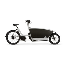 Family Performance Plus belt