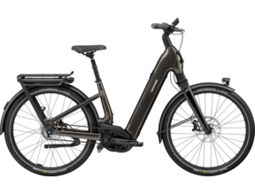 Mavaro 2 Low Step 2025