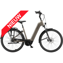 Ravenna EVO 7F Belt 2026 LTD