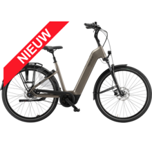 Ravenna EVO 7F Belt 2026 LTD