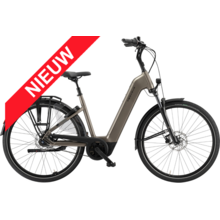 Ravenna EVO 7F Belt 2026 LTD