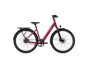 CGO800S - Wild Berry LTD