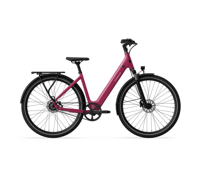 CGO800S - Wild Berry LTD