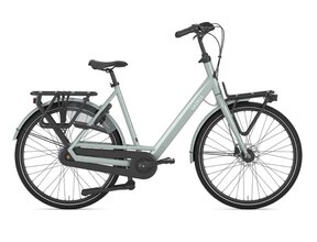 Bloom C7 Light Olive