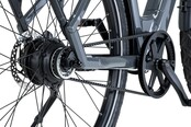 Q-Bike 2.0 - Spring Blossom