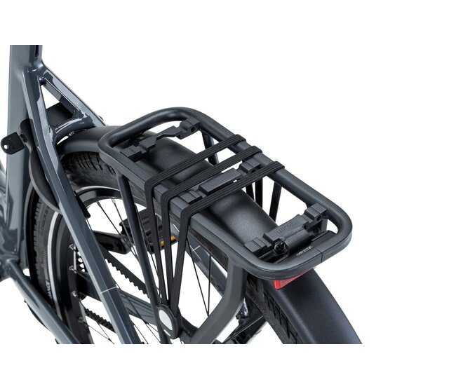 Q-Bike 2.0 - Spring Blossom