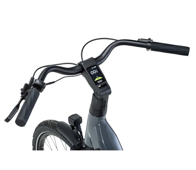 Q-Bike 2.0 - Spring Blossom