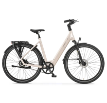 Q-Bike 2.0 - Spring Blossom