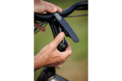 Ravenna EVO 7F Belt 2026 LTD