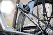 Ravenna EVO 7F Belt 2026 LTD
