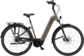 Ravenna EVO 7F Belt 2026 LTD