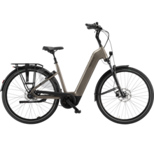 Ravenna EVO 7F Belt 2026 LTD