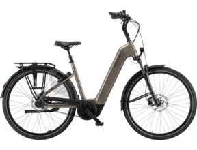 Ravenna EVO 7F Belt 2026 LTD