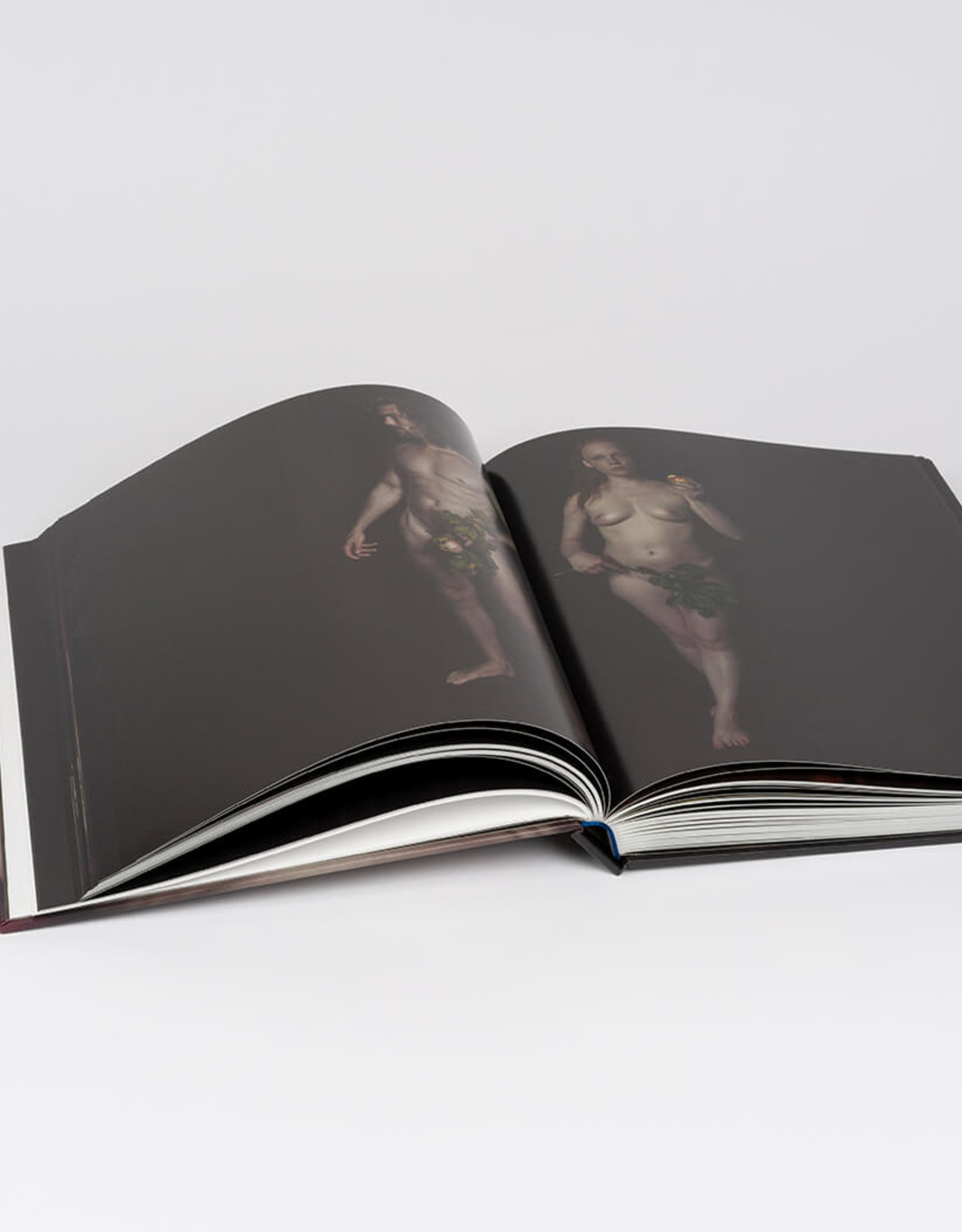 Danielle van Zadelhoff - Monografie