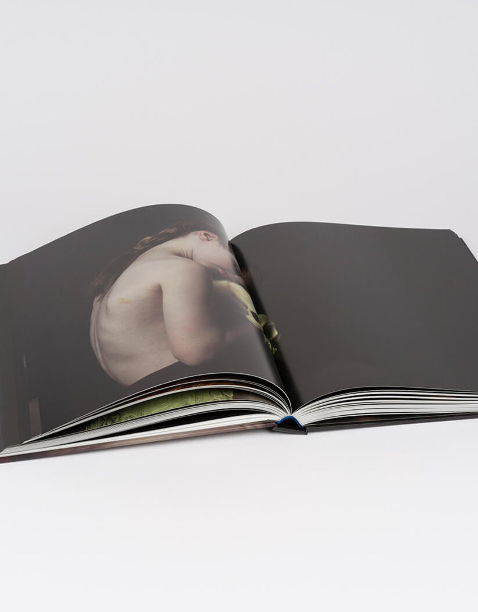 Danielle van Zadelhoff - Monografie