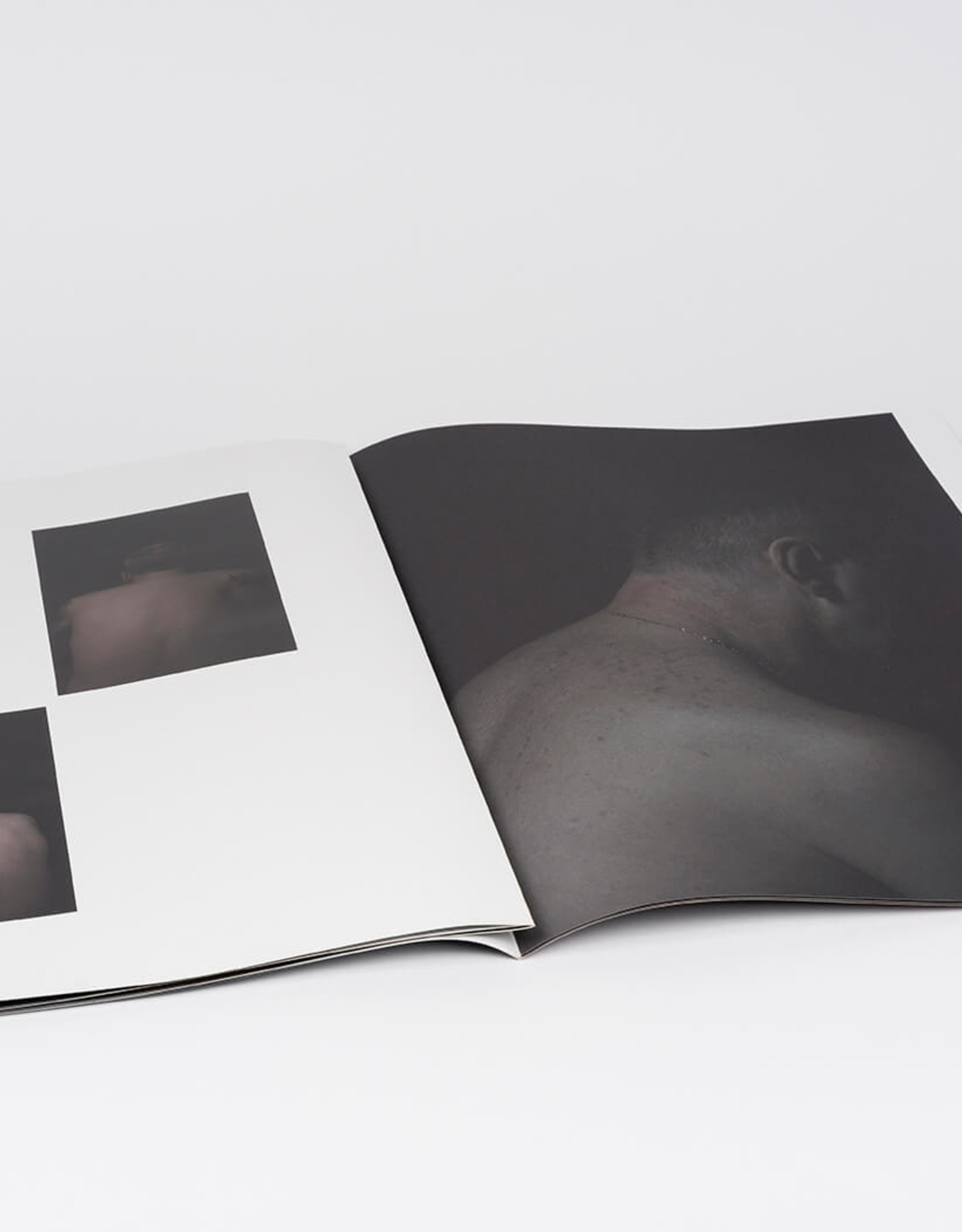 Survivors by Danielle van Zadelhoff