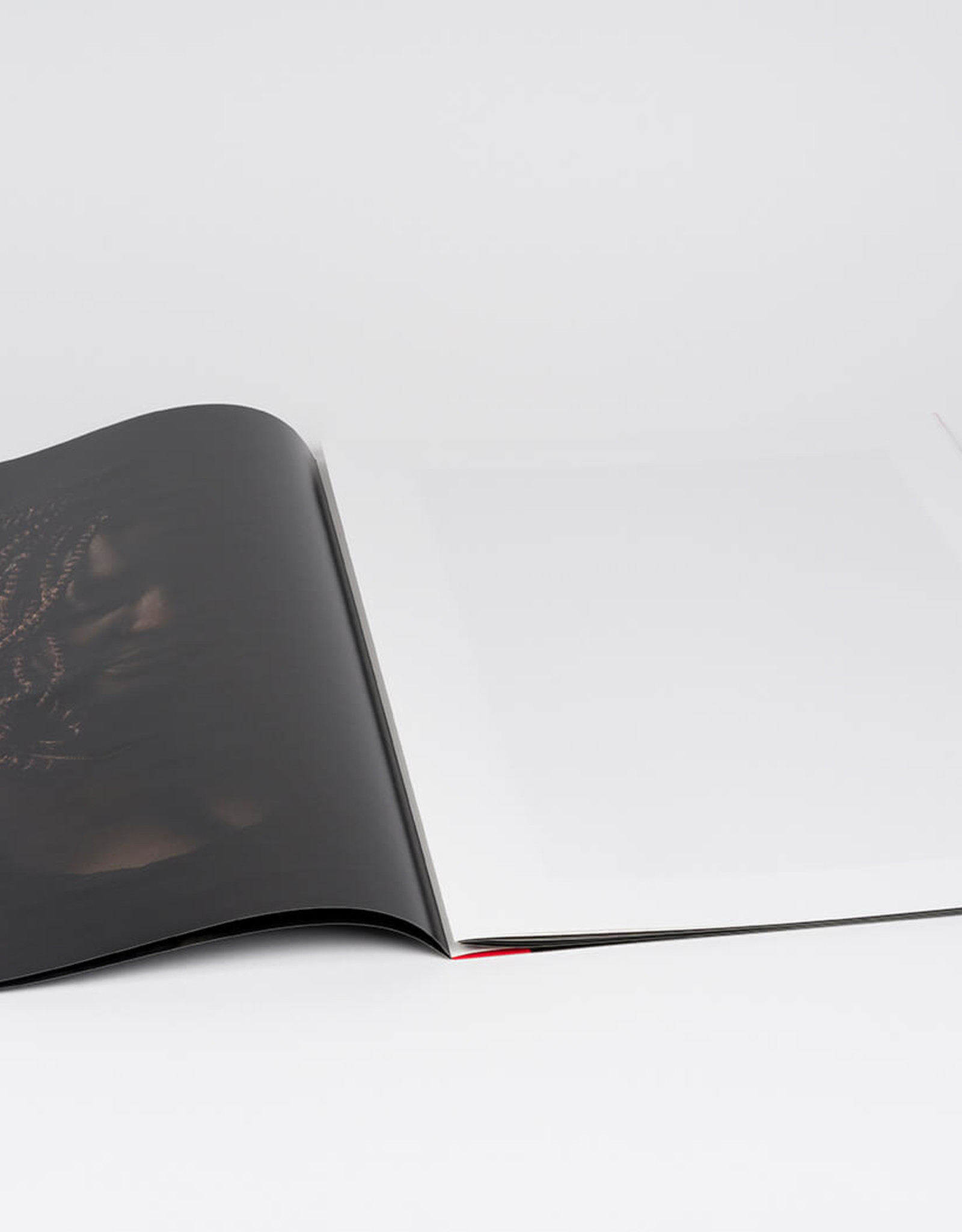 Survivors by Danielle van Zadelhoff