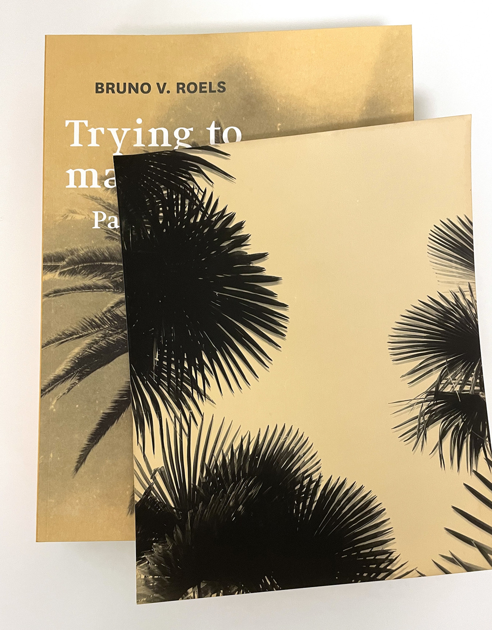 SOLD OUT - Bruno V. Roels - Limited Edition