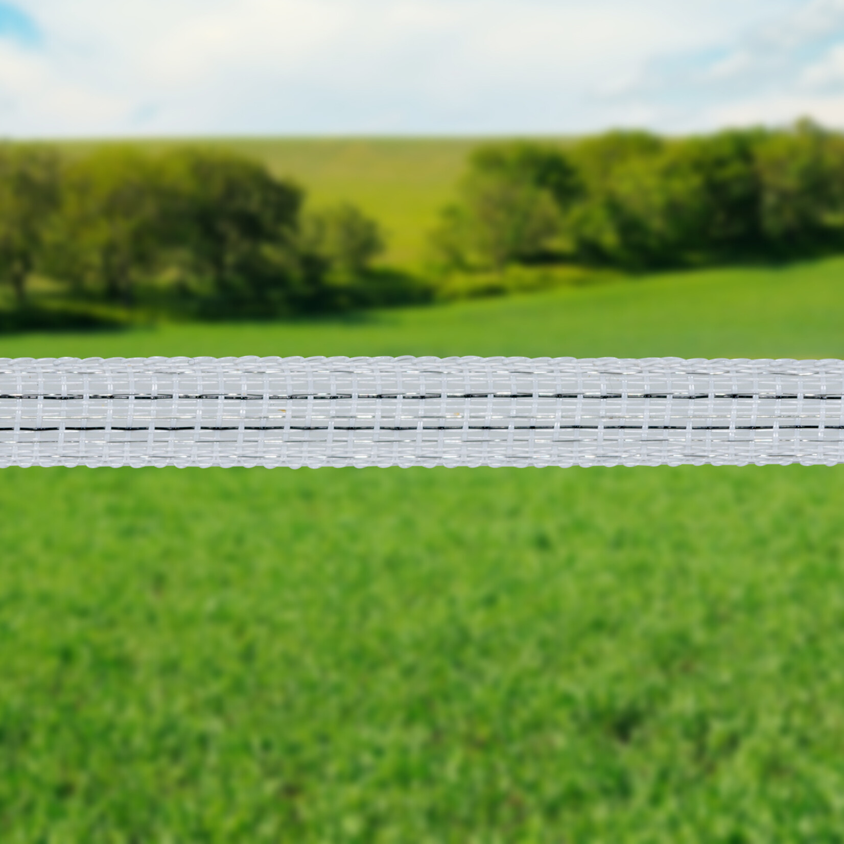 Gallagher 100 m/12,5 mm Gallagher hegnbånd PowerLine (hvid)