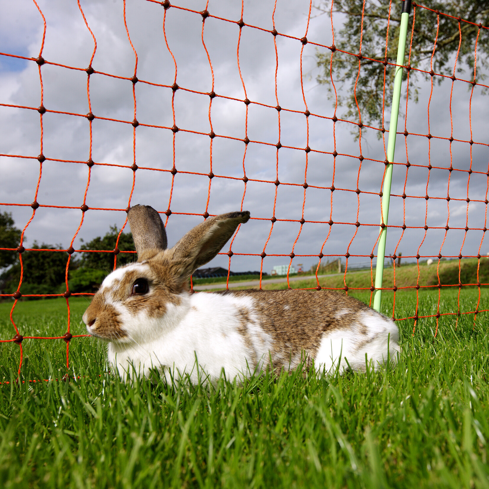 Gallagher Euronetz kaninnet/kaninhegn – 50 m / 65 cm enkelt spids