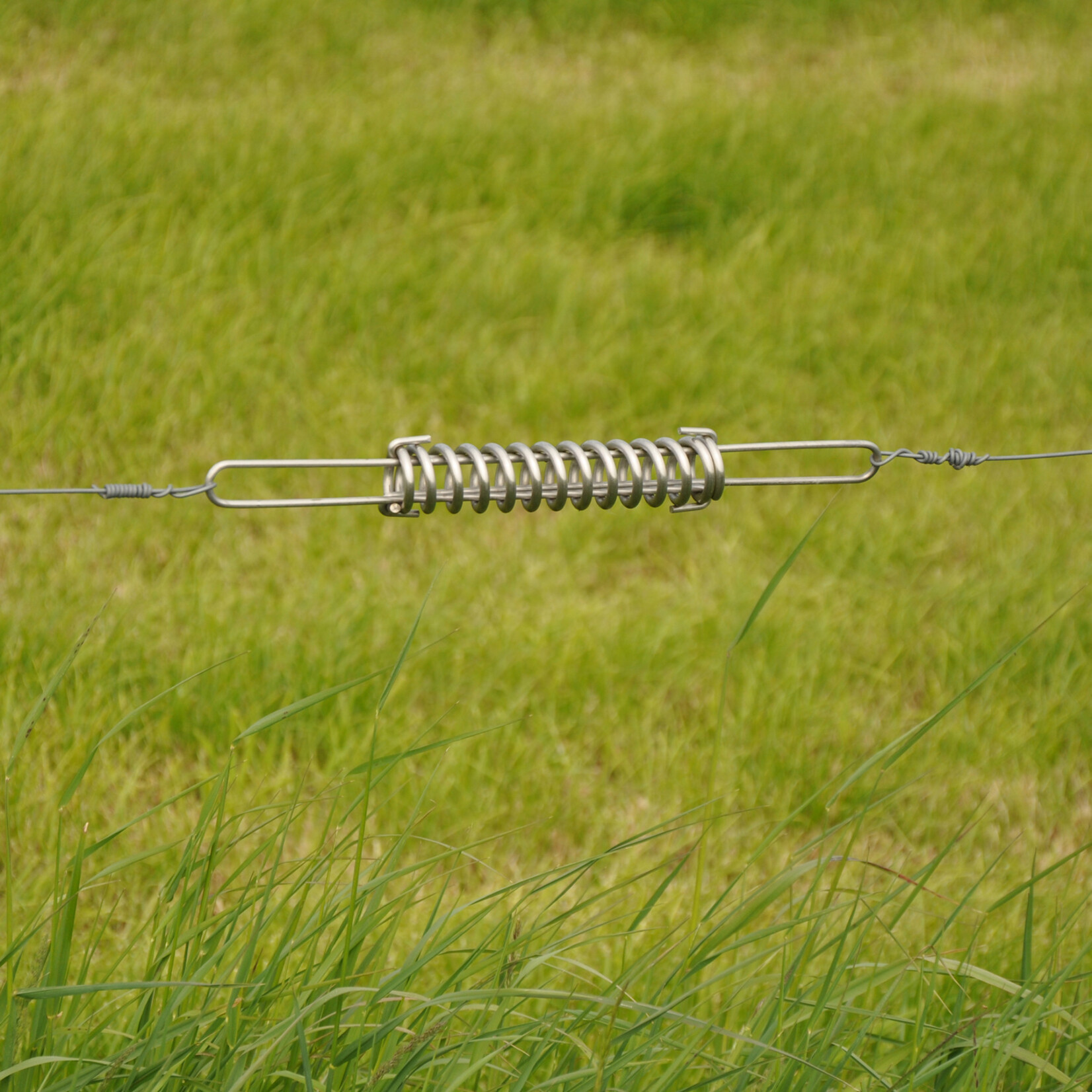 Gallagher Gallagher stålspændefjeder/udligningsfjeder til 2,5 mm tråd