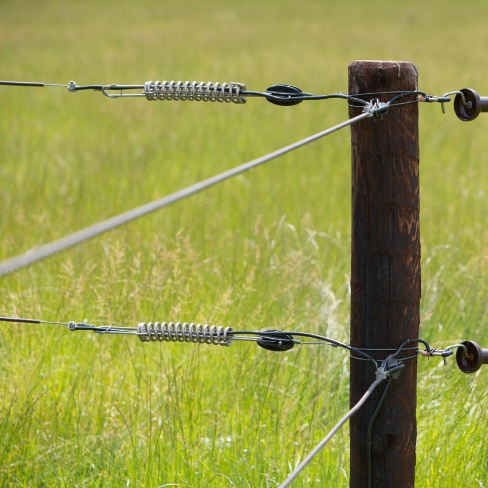 Gallagher Gallagher stålspændefjeder/udligningsfjeder til 2,5 mm tråd