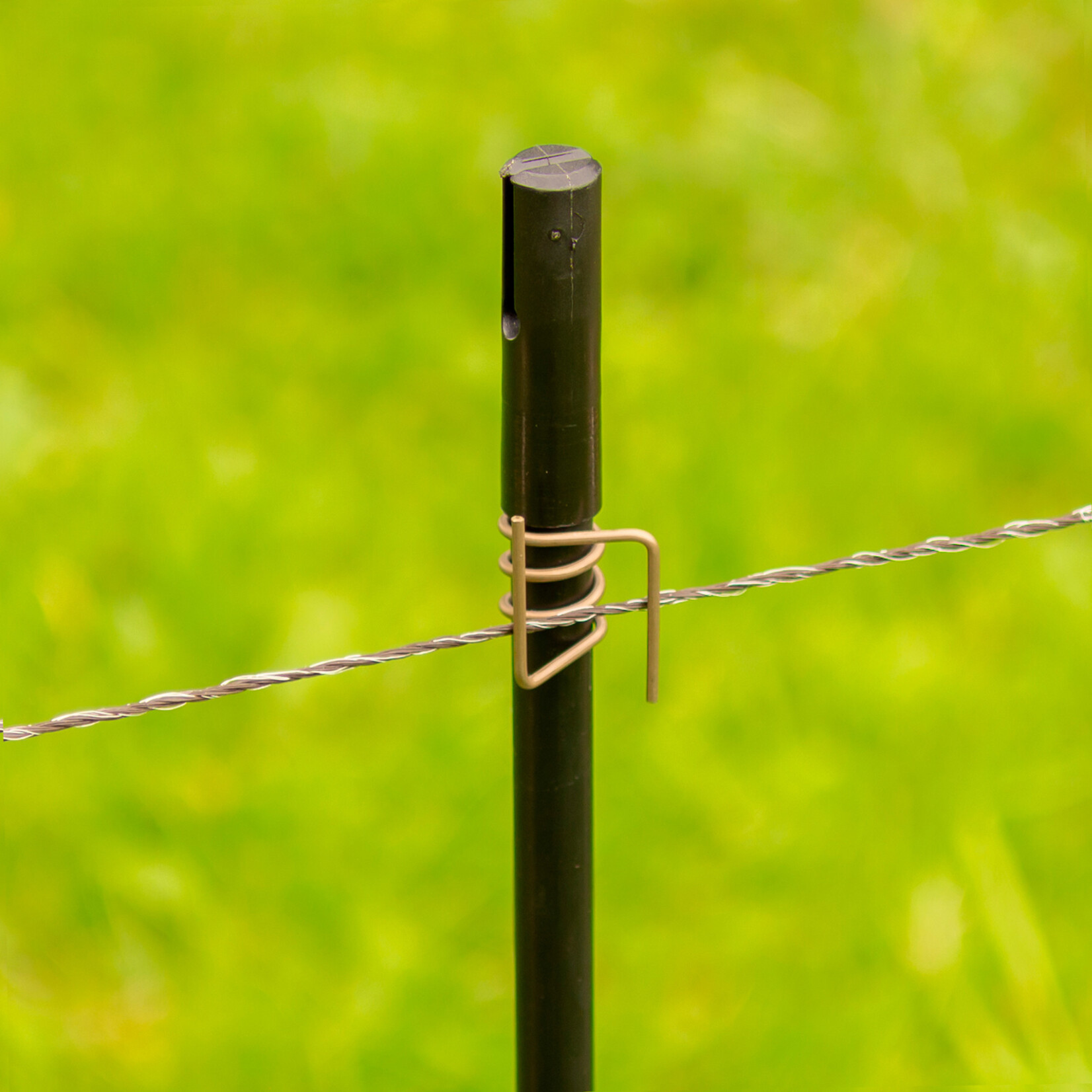 Gallagher 10x Gallagher rustfri stålklips - Ø 13 mm