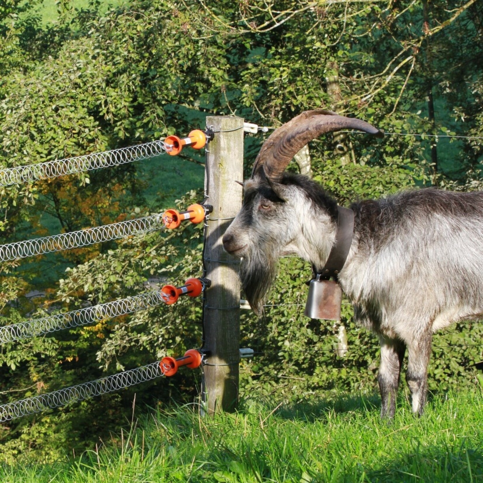Gallagher Gallagher spændfjeder-græsgangssæt - 5 m (sølv)