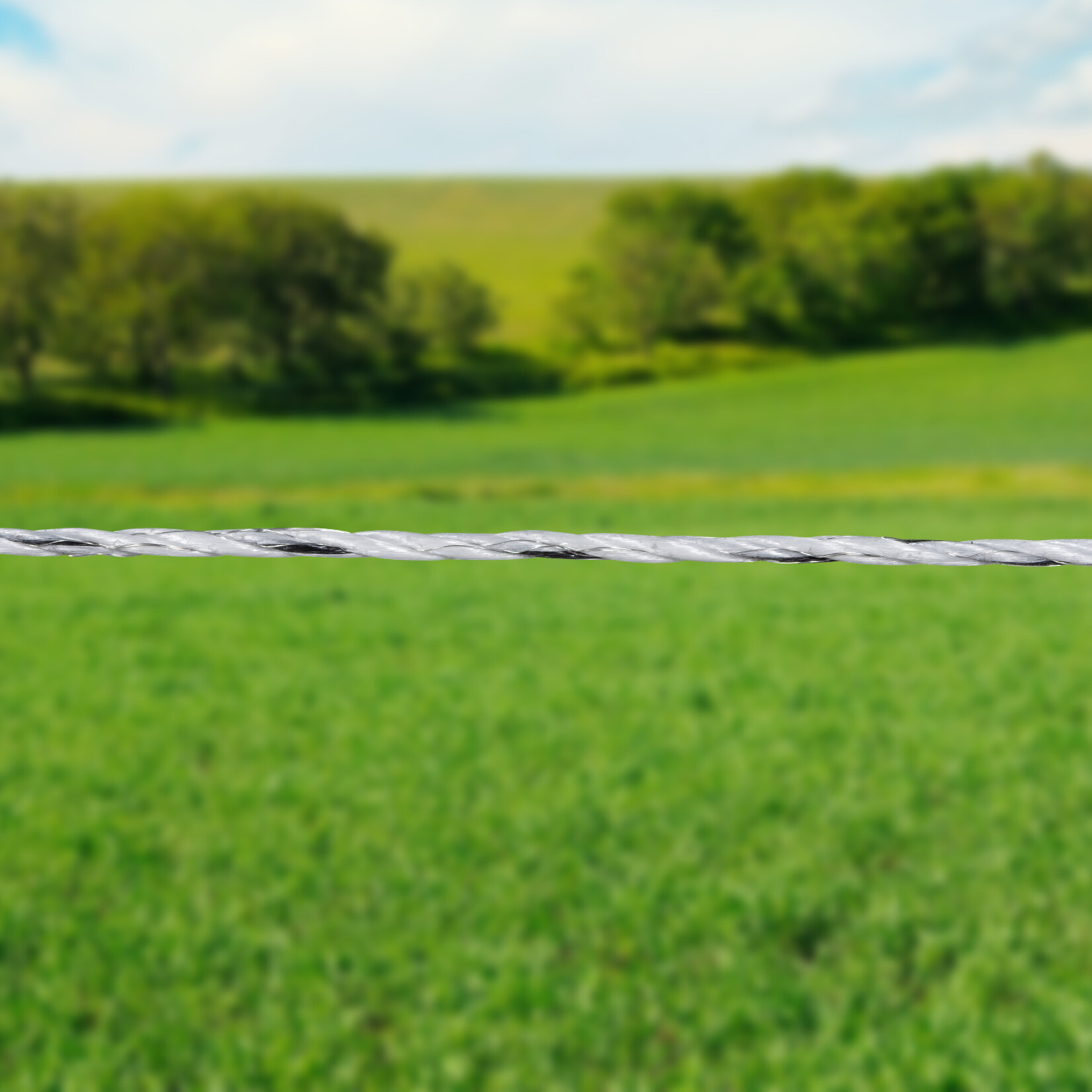 Gallagher 100 m Gallagher hegnssnor EconomyLine Cord (hvid)