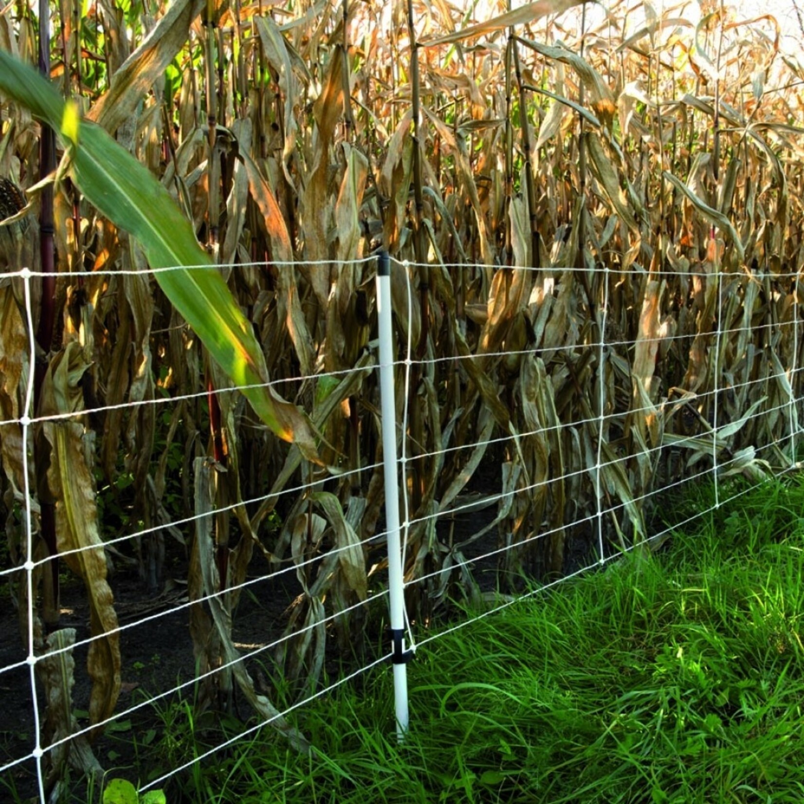 Gallagher Euronetz vildsvinenet Kombi 50 m / 75 cm enkelt spids