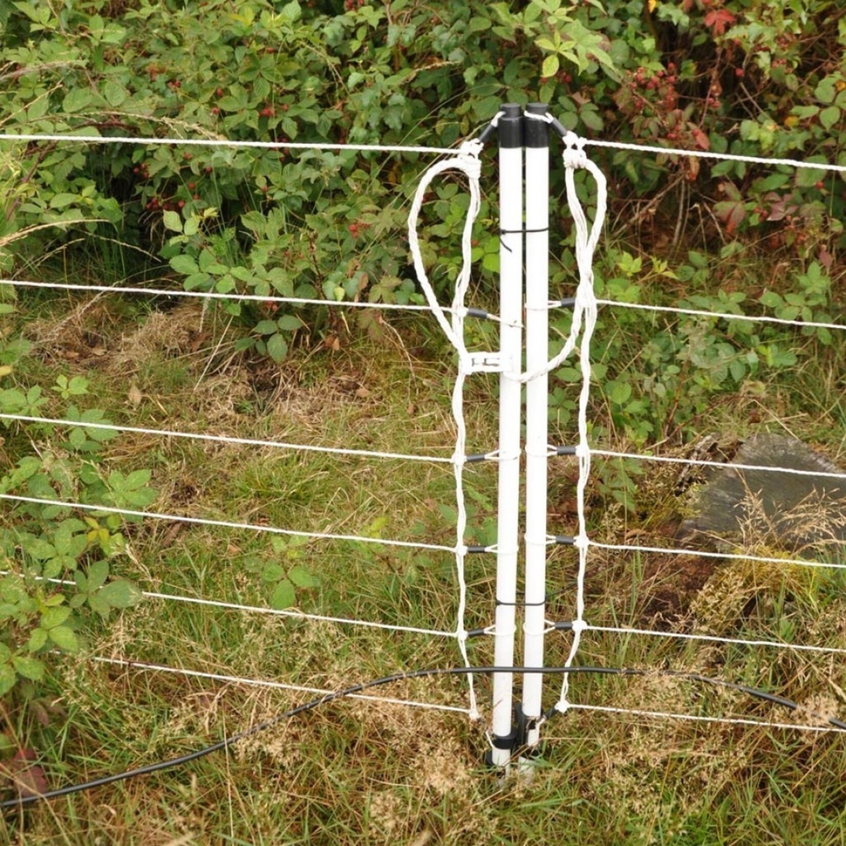 Euronetz vildsvinenet Kombi 50 m / 75 cm enkelt spids