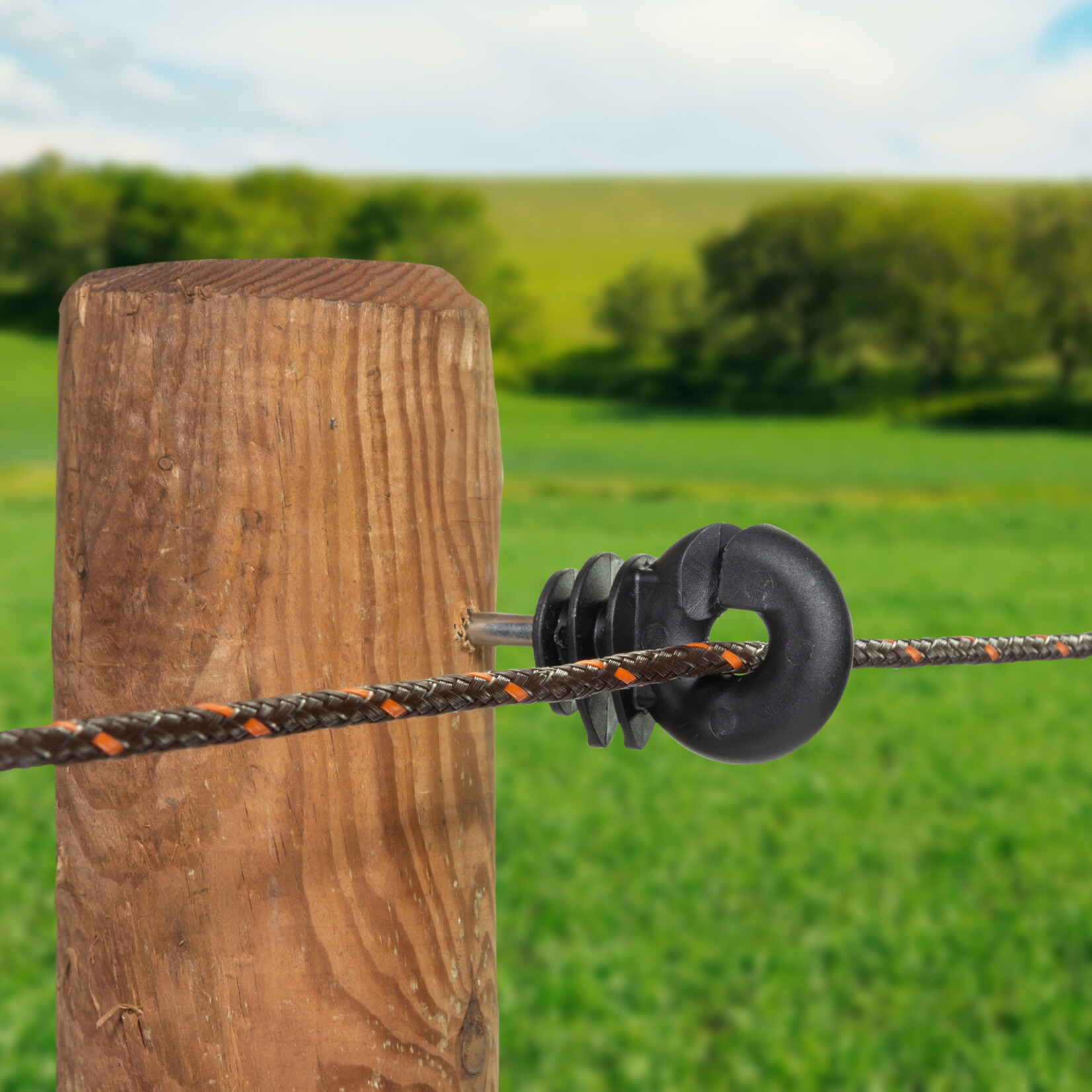 Gallagher 100x Gallagher ringisolator Promopack