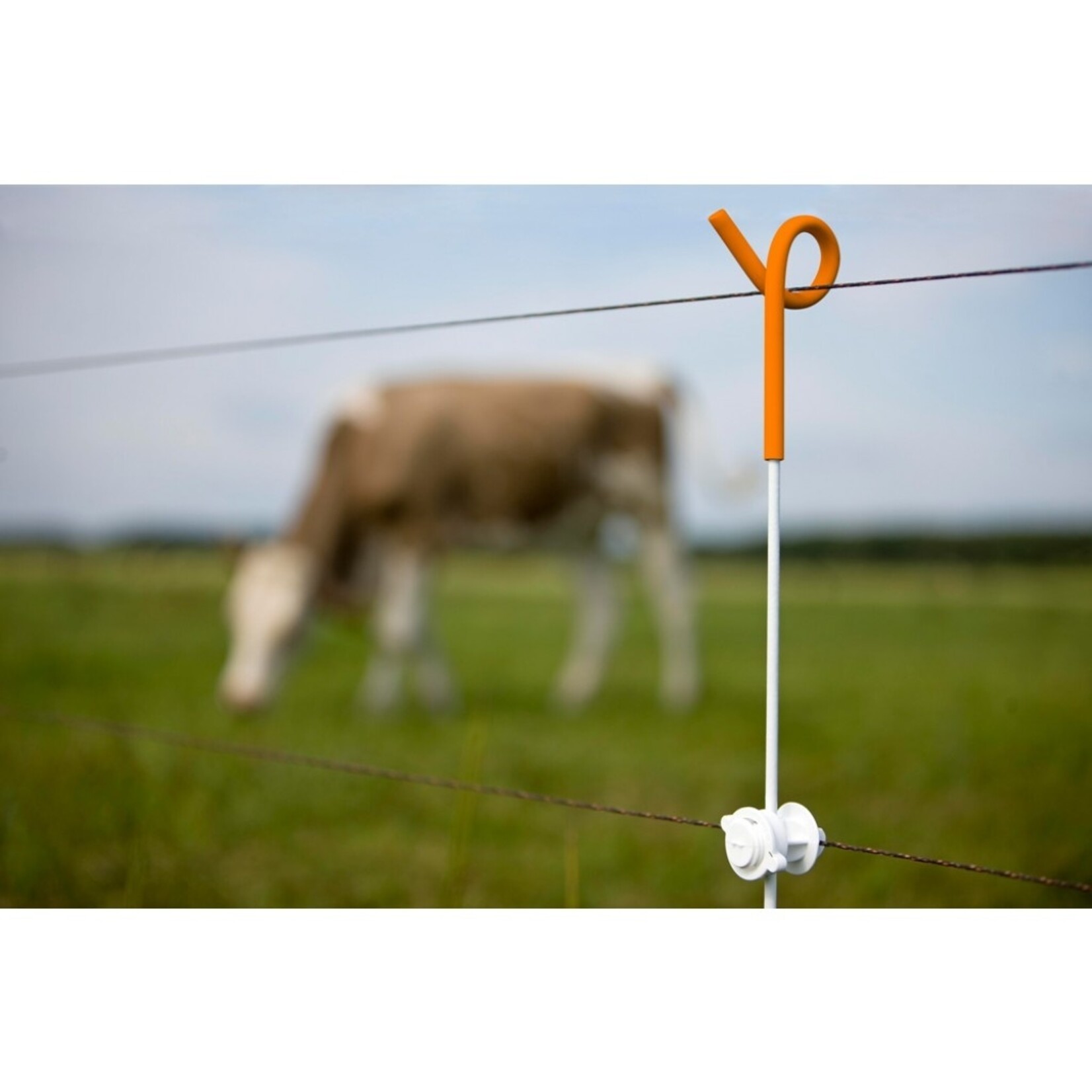 Gallagher 10x Gallagher Pigtail fjederstål-hegnspæl - 1,0 m