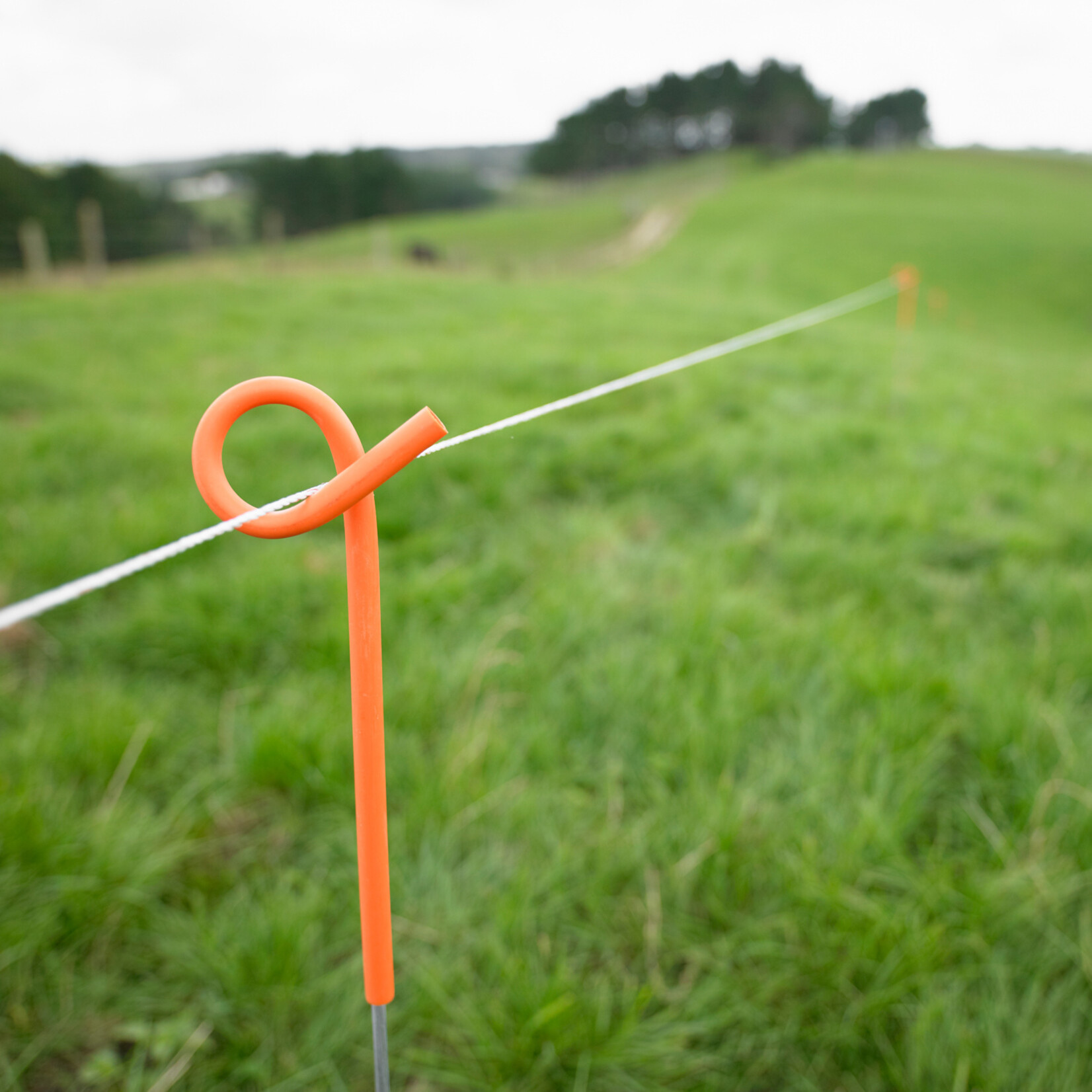 Gallagher 10x Gallagher Pigtail fjederstål-hegnspæl - 1,0 m