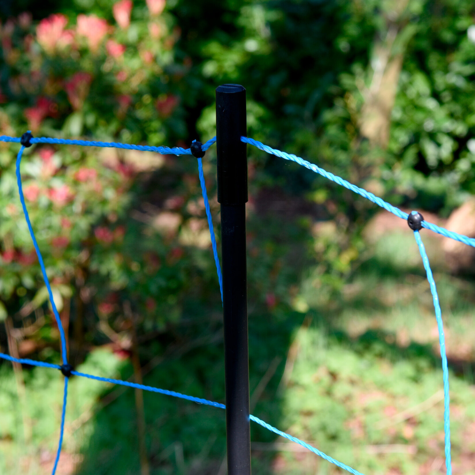 Gallagher Euronetz ulve net 50 m /120 cm enkelt spids