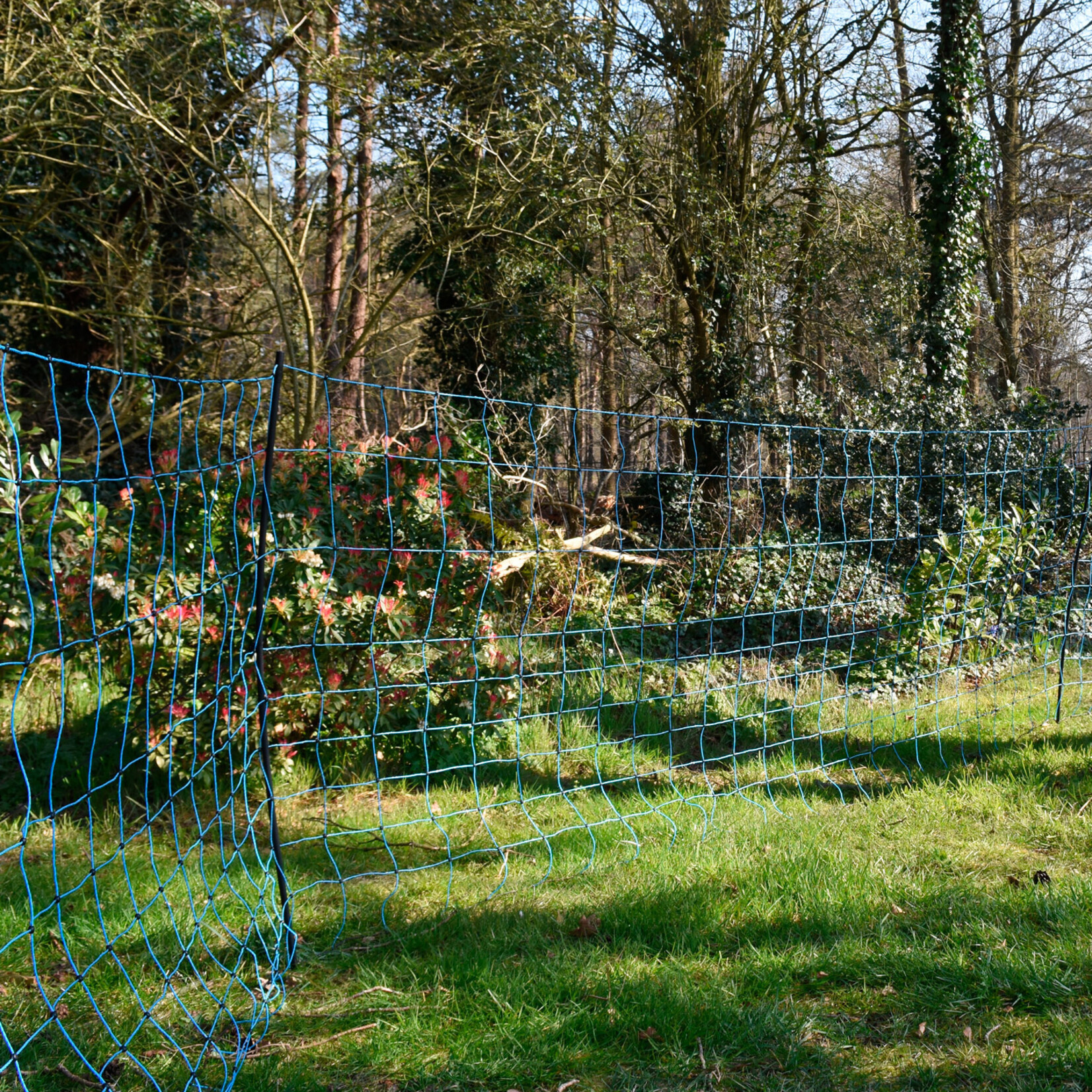 Gallagher Euronetz ulve net 50 m /120 cm enkelt spids