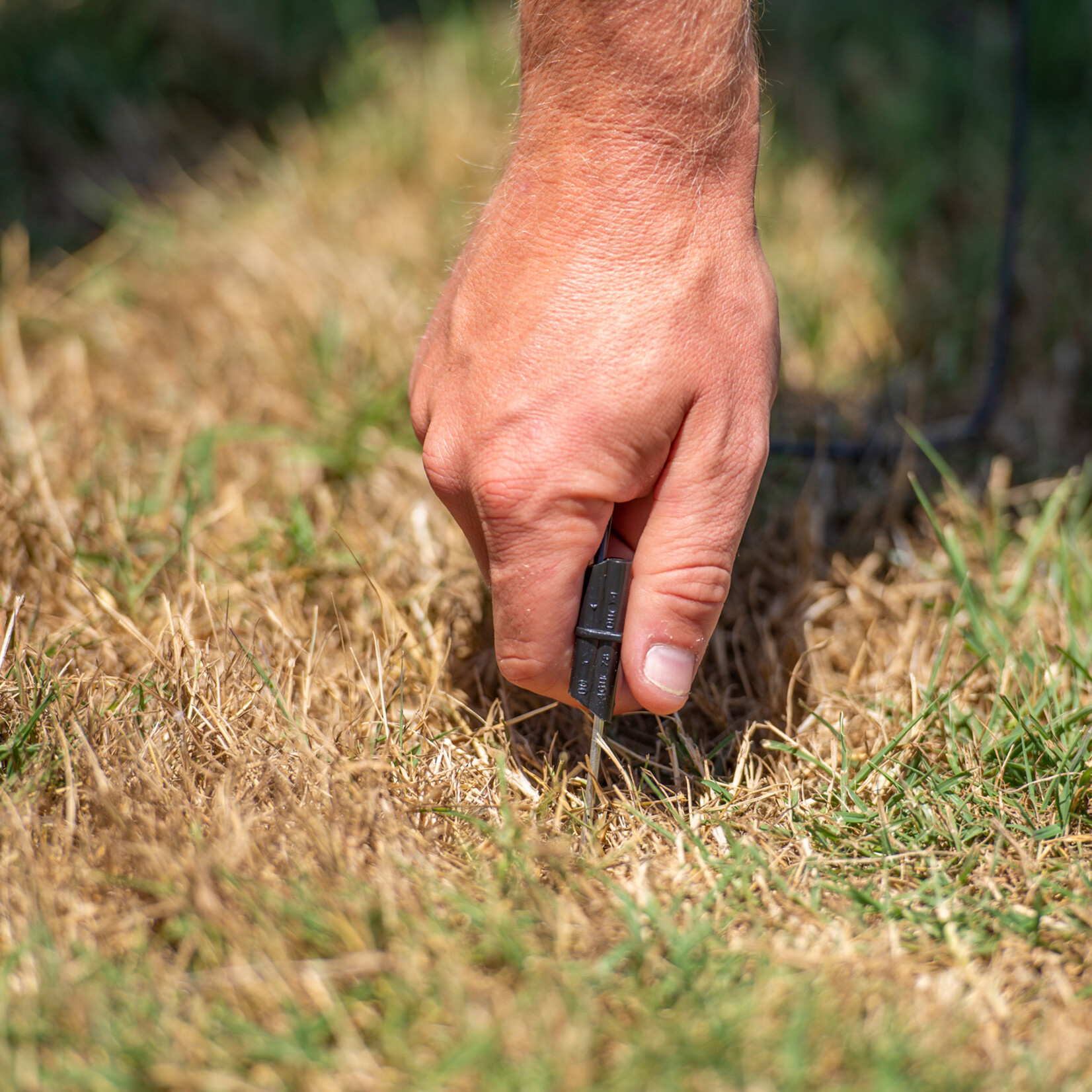 Gallagher Gallagher hegnstester/neontester – 5 trin