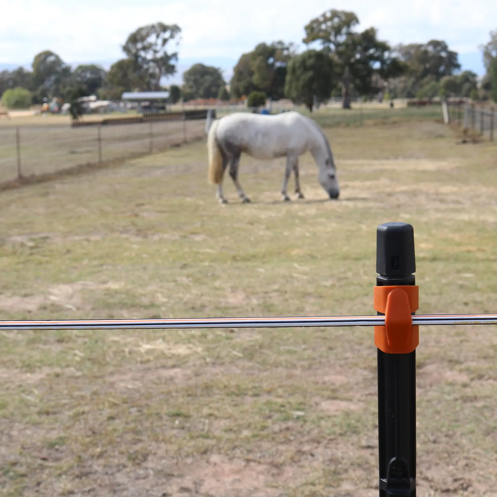 250 m/7,8 mm Gallagher TurboStar EquiFence (hvid)