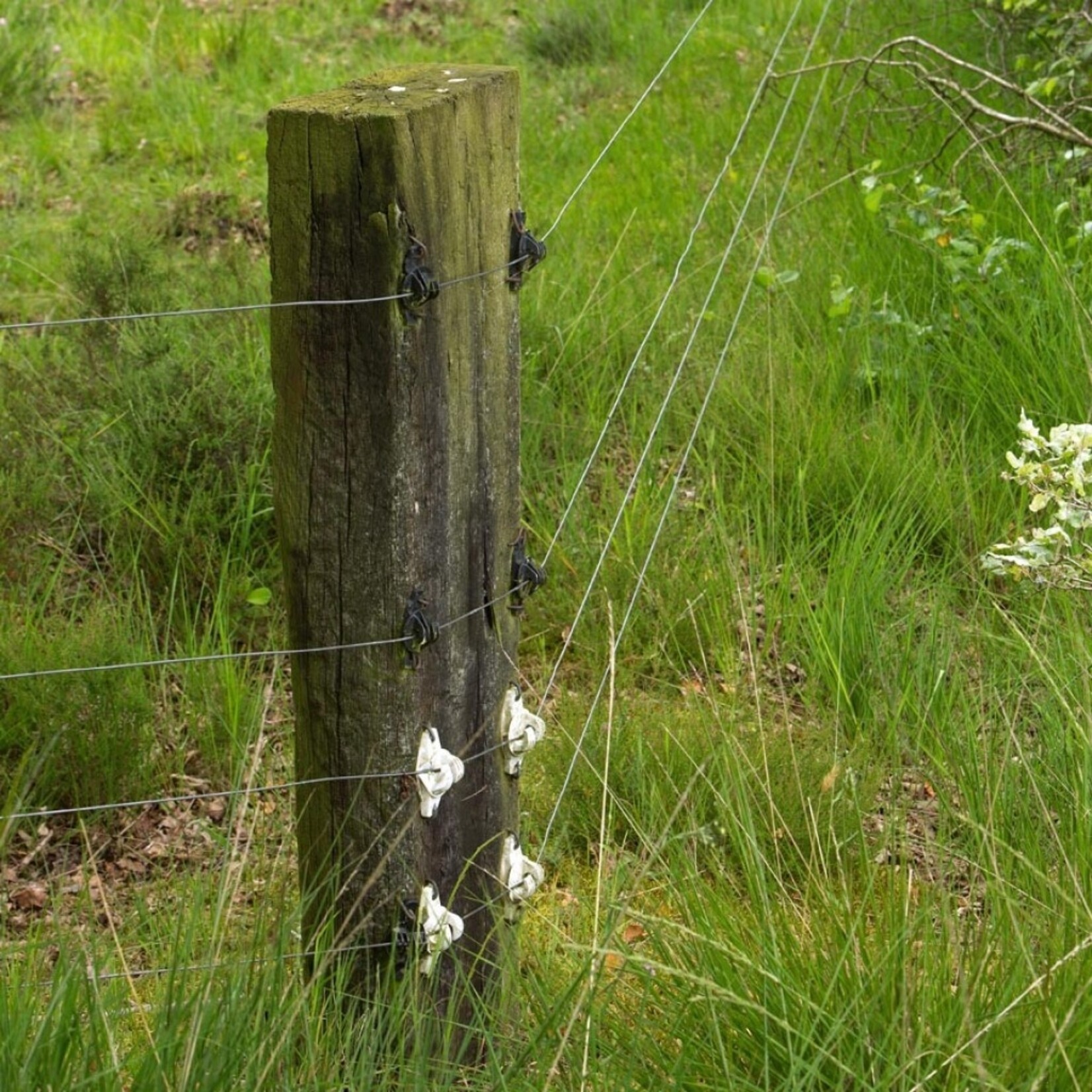 Gallagher 175x Gallagher W-Isolator Super til reb og EquiFence – hvid