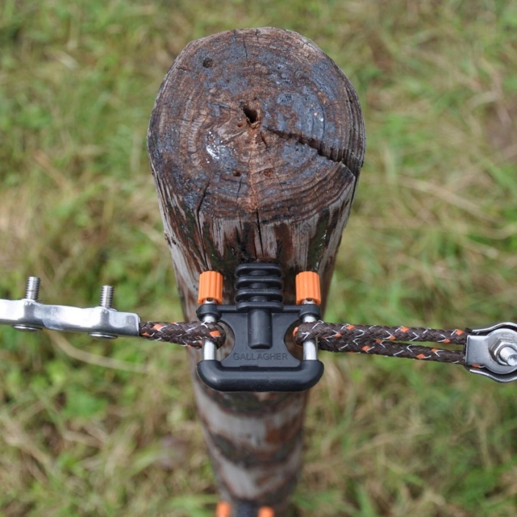 Gallagher 5x Gallagher portisolator Easy2use