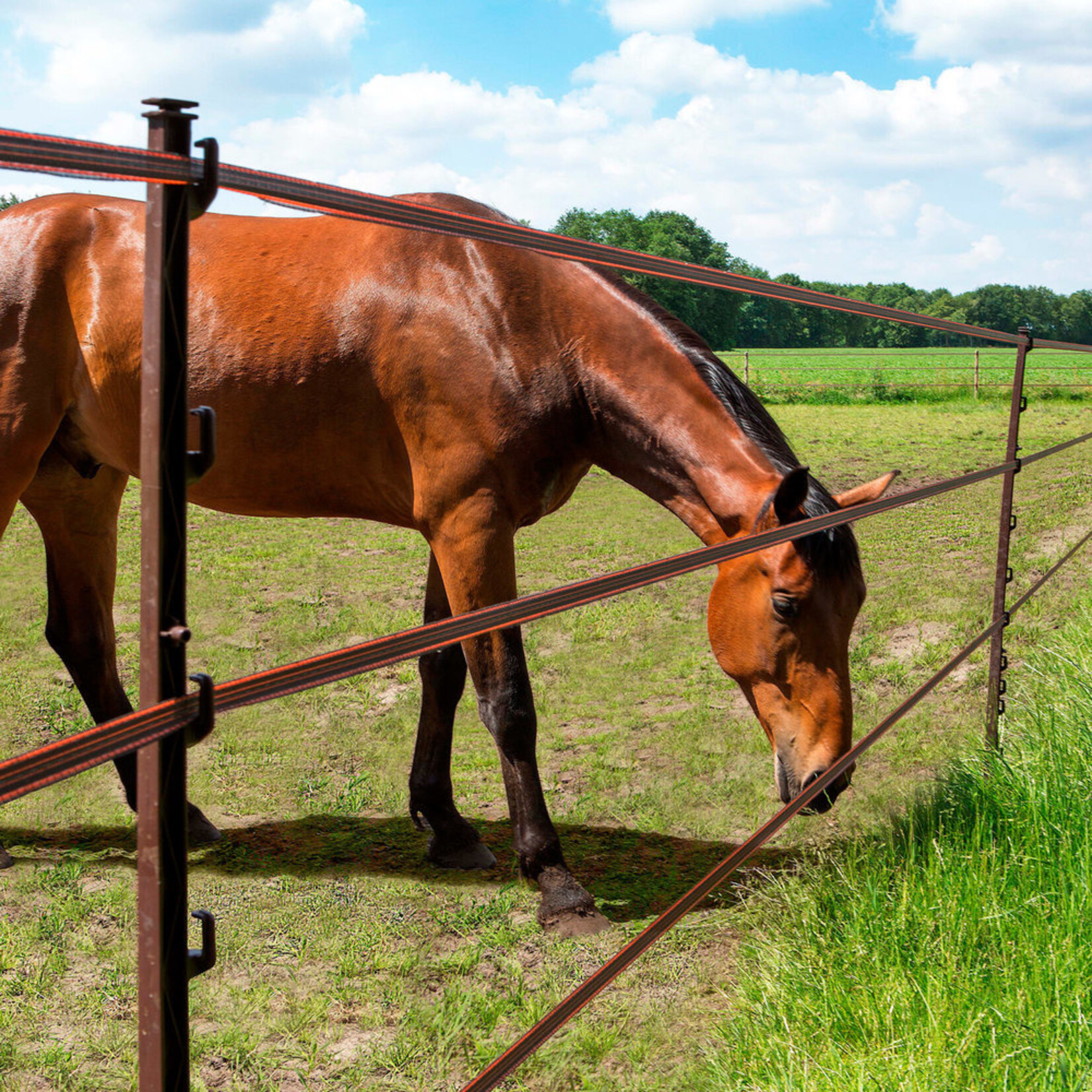 Gallagher 20x Gallagher Vario plasthegnspæl - 1,0 m terra (duopakke)