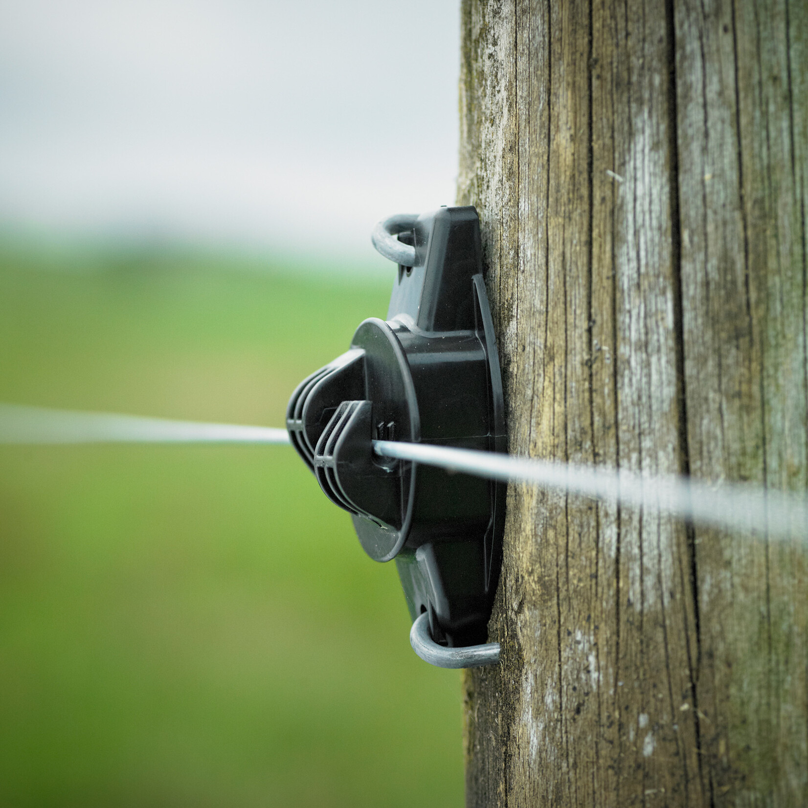 Gallagher 25x Gallagher W-isolator til tråd - sort