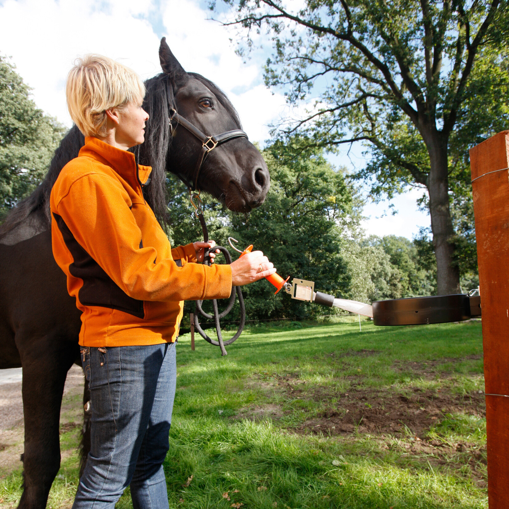 Gallagher Gallagher portrulle/græsningsport med bredbånd - 15 m hvid