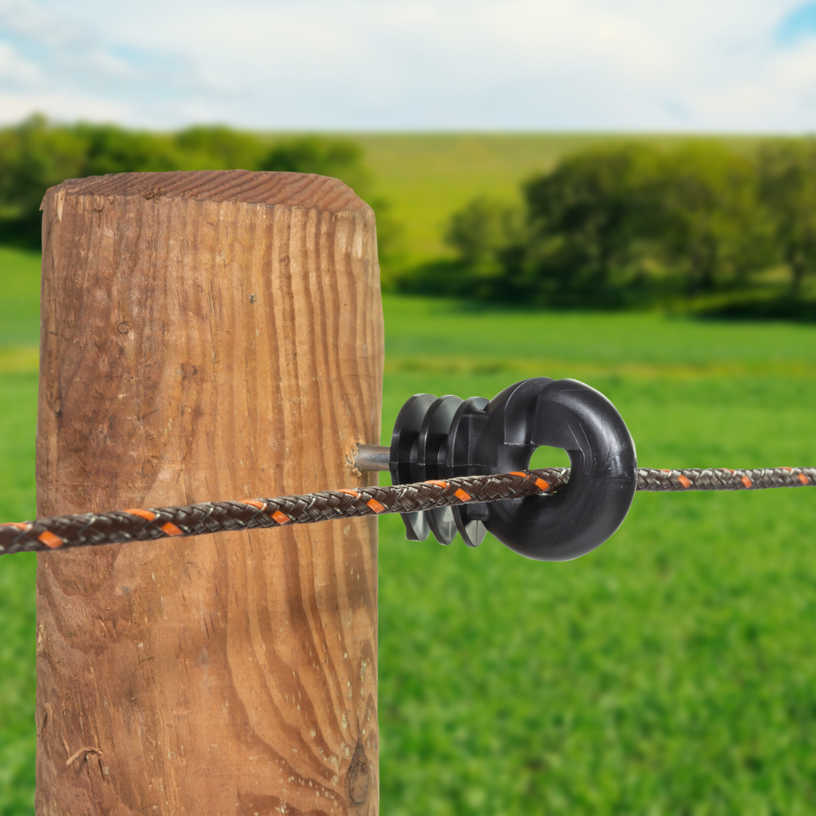 Gallagher 250x Gallagher ringisolator Standard