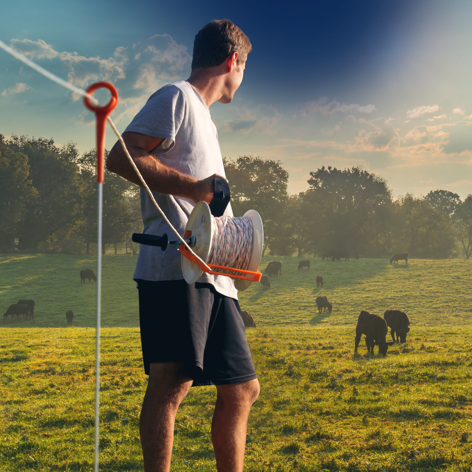 Gallagher 10x Gallagher Ring-Top hegnspæl - 1,0 m