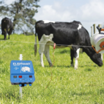 Hvordan fungerer et elektrisk hegn? En guide fra Elephant