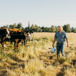 Sådan samles elektrisk hegnstråd/reb/bånd