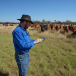 Fejlfinding på elektrisk hegn