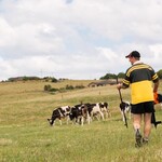 Sådan laver du en elektrisk hegnport