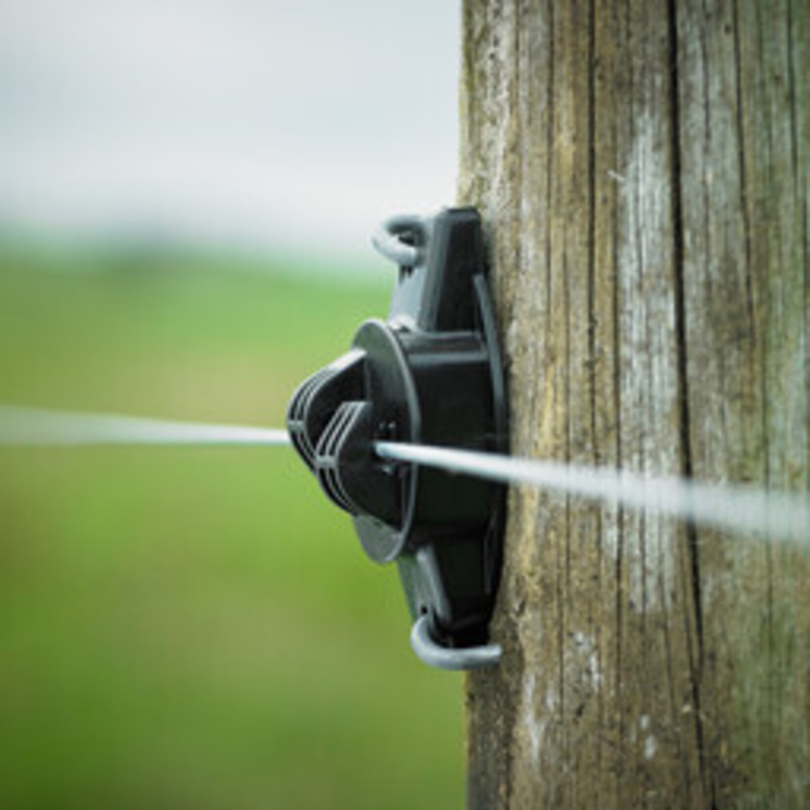 Gallagher 175x Gallagher W-isolator til tråd - sort